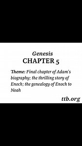 Genesis Chapter 5 (Bible Study)