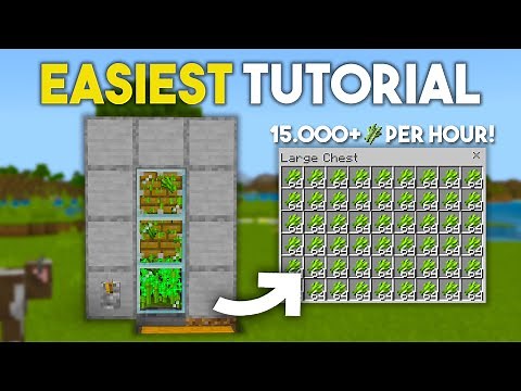 BEST 1.20 Sugarcane Farm in Minecraft Bedrock!
