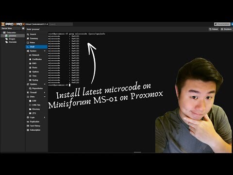 Updating microcode on Minisforum MS-01 Proxmox