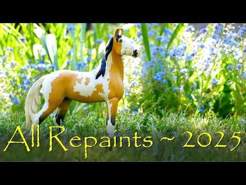 All The Models I Painted In 2025 ~ Repaint Journey