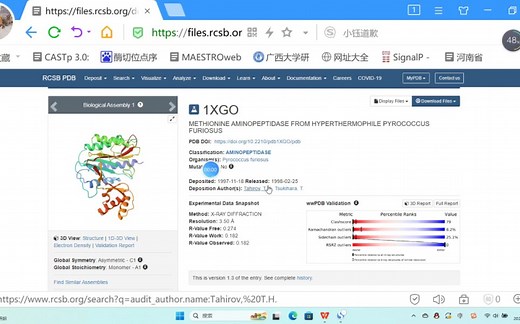 蛋白三维结构下载及配体分子预处理