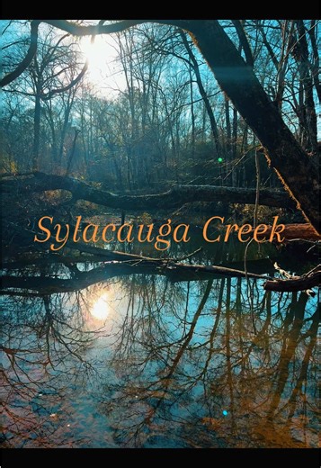 #explore #nature #fyp #water #beauty