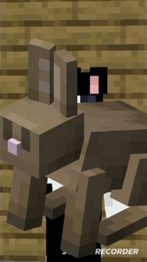 #minecrqft#minecraftdato#minecraftlife#minecraftshorts #minecraftcurioso#viralshort#shortviral#viral