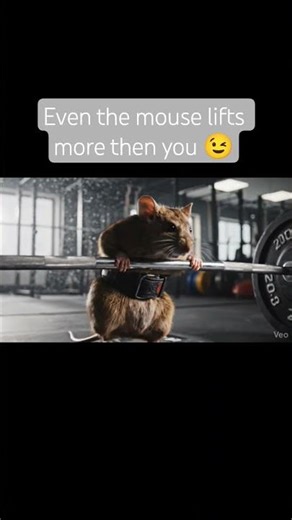 “Gym Rat? No… Gym Mouse! 🐭💪 | Unreal Strength” #funnyanimals #funnycats #mouse