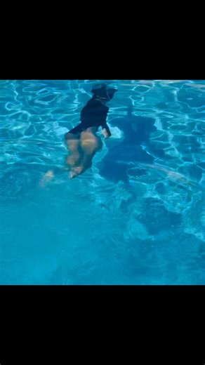 Let’s dive into the new year together! At-home swim lesson registration is now open through April 2026! Now is the perfect time for little ones to learn basic water safety skills or to get a refresher ahead of the summer fun. A few things to keep in mind: 💧Pool temps should be between 83–94°F 💧This is an at-home service—I come to you! 💧My schedule fills quickly, so don’t wait to reach out. Register here for swim lessons through April: https://forms.gle/oFxBxTa7CtZtCueFA 🗓️ Save the date: Sum