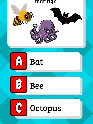 Animal Quiz - Can you get 7/7? #animals #animalquiz #quiz #quiztime #trivia