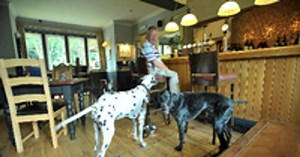 Full list of friendly pubs in and around Teesside