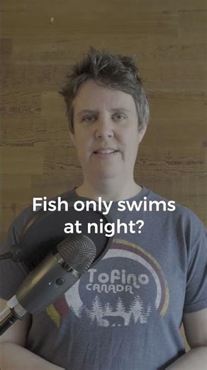 Joke for kids: What fish only swims at night? | Funny jokes for English learners