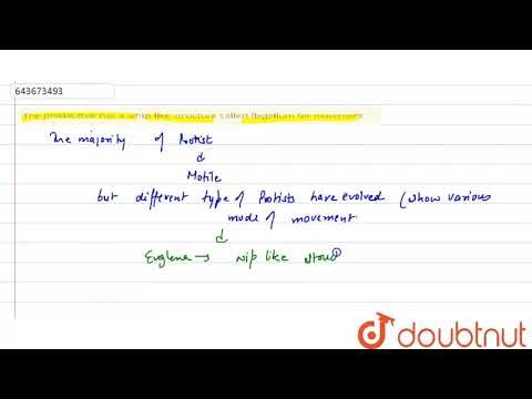 The protist that has a whip-like structure called flagellum for movement | 7 | MODEL TEST PAPER ...