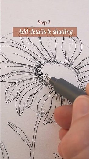 How to draw daisies