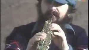 Apostol - A legtöbb ember