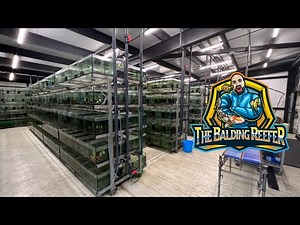 Visiting the UK's Biggest Fish Farm