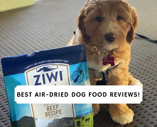 5 Best Air-Dried Dog Food Reviews! - We Love Doodles