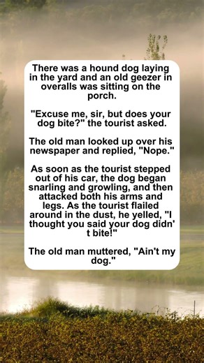 Does Your Dog Bite? #dog #funny #tourist #comedy #jokes #humor #bite #oldman#humor #joke #laugh #mem