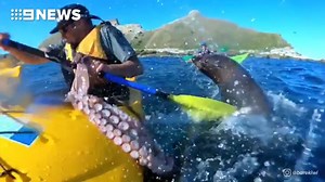 73K views · 957 reactions | WATCH: This kayaker copped the ultimate...