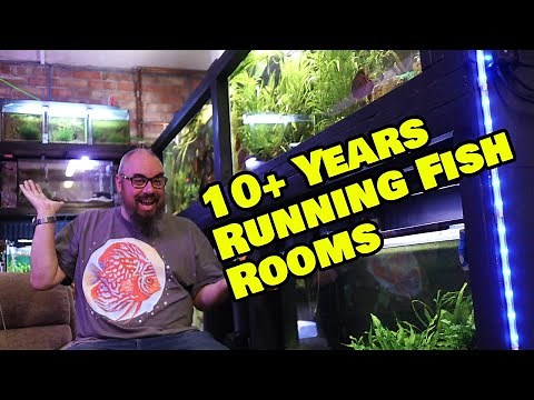 What You NEED To Know Before Building a Fish Room!