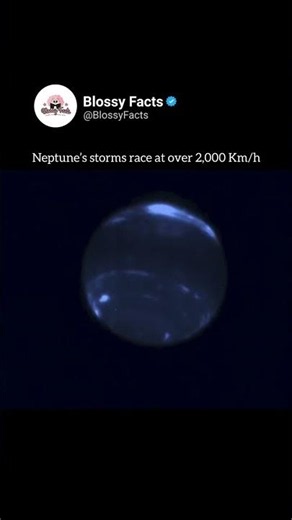Neptune’s dark storms are larger than entire planets.