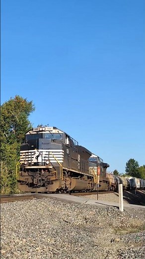 NS 179 Rolling Through CP Palm w/ Horn Salute + Defect Detector #railroad #norfolksouthern #train