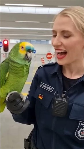 The smartest parrot in the world? 🦅🚔 #parrot #parrot #bird