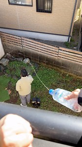 設定せぶん | ガーデニング中のおでん君に狙撃してみたw #おでん君に水やり #ヤソップばりの腕 #水遁水流弾# はなかっぱ #友情より性欲 #設定せぶん | Instagram