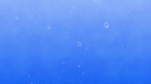 Background Video, Overlay, Sea. Free Stock Video