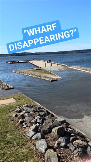 Wharf Almost Under Water Today #shorts #spring #story