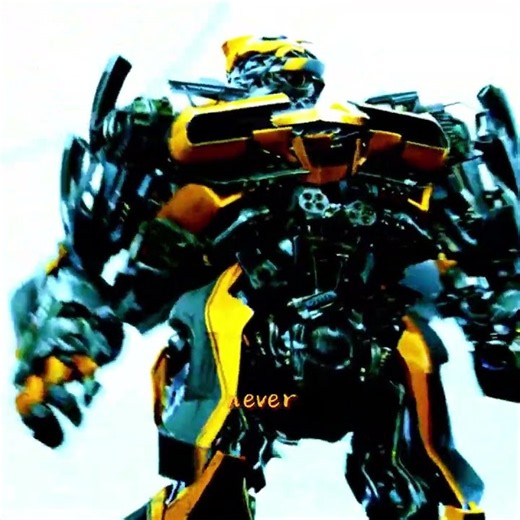 Why Does Everyone Love Bumblebee？