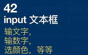 42-控制 Input 的样式-每天10分钟学前端