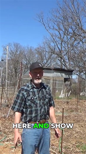 Motivate New Gardeners with Mulch Magic