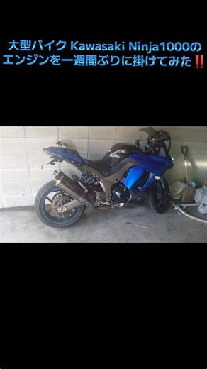 大型バイク Kawasaki Ninja1000のエンジンを一週間ぶりに掛けてみた‼ #バイク #大型バイク #オートバイ #エンジン始動 #エンジン音 #エンジンサウンド #マフラー音