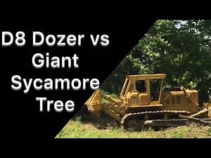 D8 Dozer vs Tree