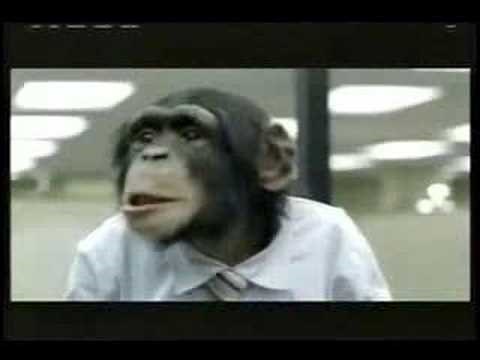 Career Builder Monkeys Super Bowl XL Commercial