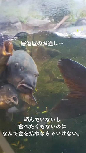 うみの杜水族館