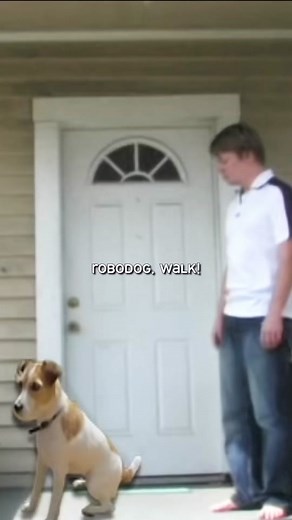 5SF: Robodog There are about 20,000 of these orbiting Mercury right now, doing their best to obey and failing miserably. #fyp #foryou #xyzbca #5sf #lol #dogsoftiktok