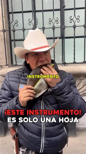 Could you play music with just a leaf? 🍃 #FunFacts #Music #Instruments #Amazing