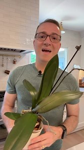 234K views · 114 reactions | More orchid care tips including how to trim flower stems and what that sticky stuff is on the flower stalk. #orchid #phalaenopsisorchid #orchidcare | Ohio Tropics Houseplant and Garden Care | Facebook