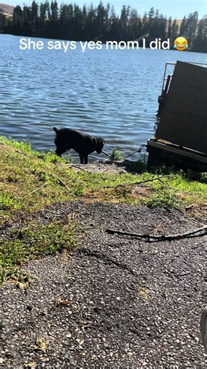 rubyjones58 on TikTok