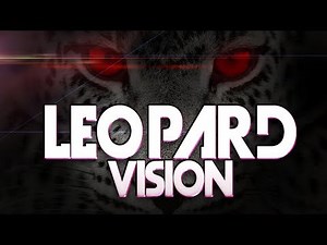 LEOPARD VISION, VOL.1 - ForeRunner Chronicles 777