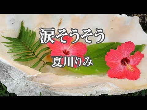 【カラオケ】涙そうそう - 夏川りみ【オフボーカル】