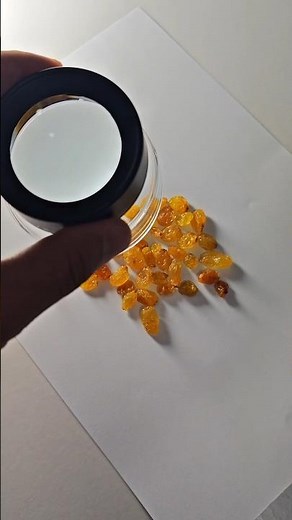 What Golden Raisins Look Like Up Close 🔍 🫣