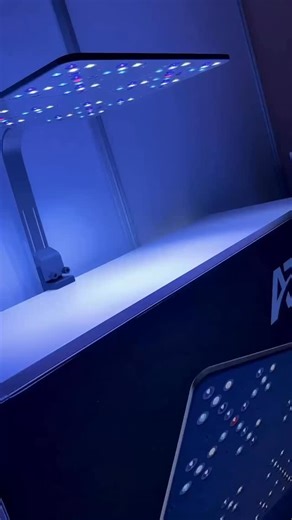 💥 Die neue ATI Straton X ist da - jetzt vorbestellen und ein gratis Montagekit während der BLACK DAYS erhalten (Haltearm oder Seilaufhängung) ⚫️ Aktion gültig bis Sonntag 30.11. 🪸 UVP Leuchte: 899 € Garantierte Lieferung vor Weihnachten 🎄 Jetzt online bestellen unter www.planktonplus.de #atistratonx #planktonplusaquaristik #meerwasseraquaristik | PlanktonPlus Aquaristik