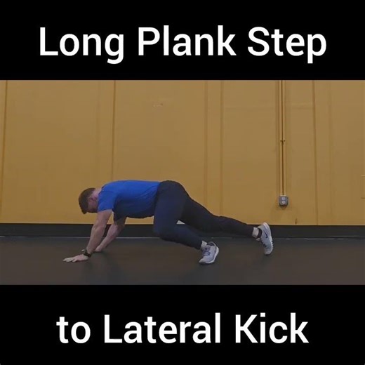 Long Plank Step to Lateral Kick