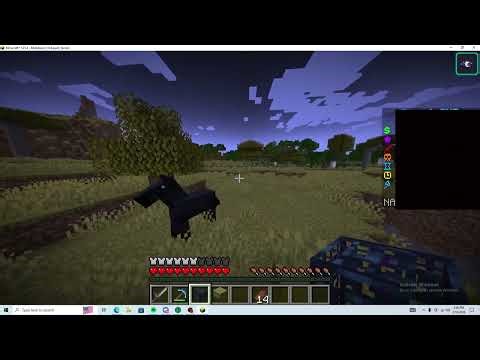 DonutSMP Dupe 1.21.11 Unpatched