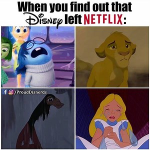 523K views · 18K reactions |  in 2019 Disney will open its own...