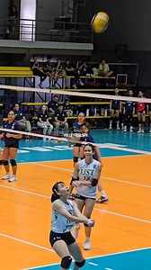 30K views · 338 reactions | Cute reaction by Regina Jurado after covering her own block, rookie Stephanie Bien Arasan adjusts to the set and uses her left hand for the drop and it worked!  #ust #tigresses #gouste #letran #csj #volleyball #vleague #vleague2024 #womens #mens #sport #athlete #fyp #foryou #foryoupage #reels #fbreels #fbreelsfypシ゚ #fbreelsviral | Volley Reels | Facebook