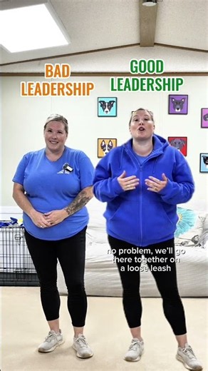 Bad vs. Good Dog Leadership (Which One Are You?)