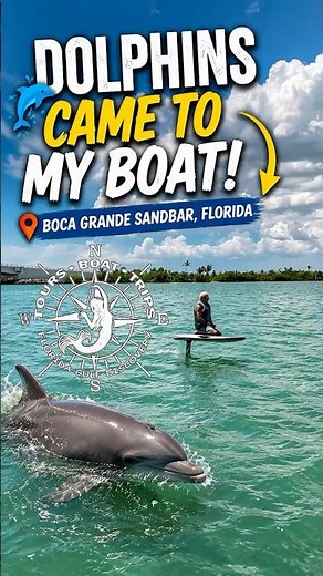 🥇 Dolphins Came Within Inches of Me at Boca Grande Sandbar! 🐬