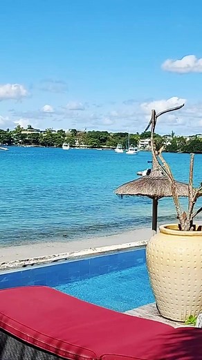 8.4K views · 244 reactions | Stay in Paradise | Bryan discovers world | Facebook