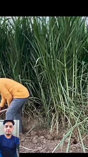 82K views · 1.8K reactions | Oh chal sorry bol chal bol | Aditya Nath | Facebook