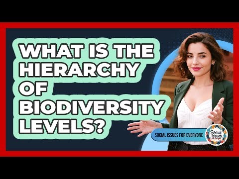 What Is The Hierarchy Of Biodiversity Levels?
